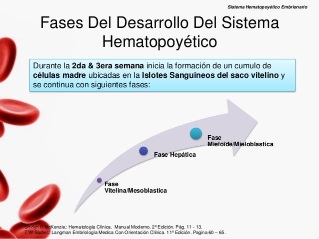 Mesodermo ectodermo y endodermo embriologia pdf writer
